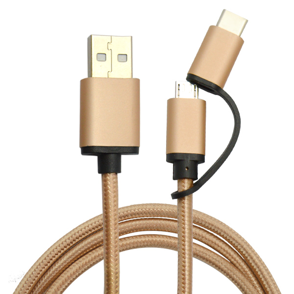 2 in 1 USB Type C